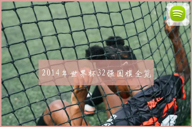 2014年世界杯32强国旗全览