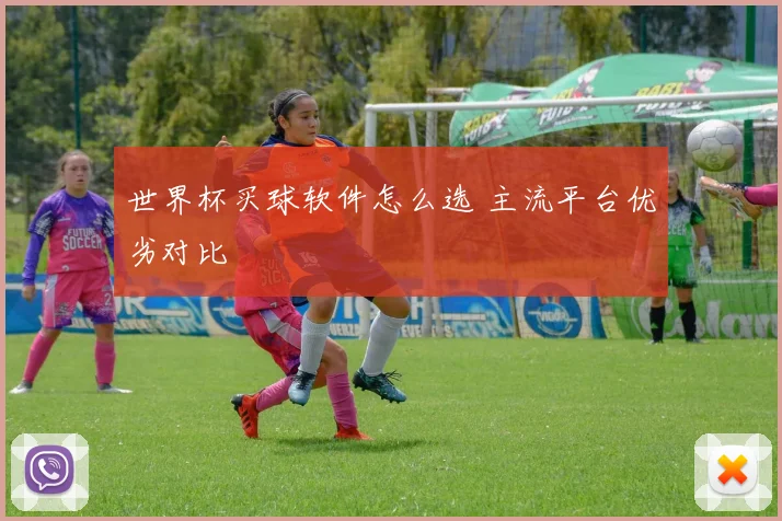 世界杯买球软件怎么选 主流平台优劣对比