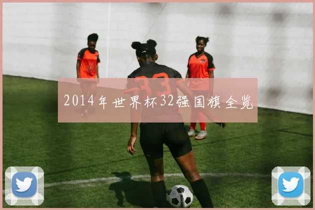 2014年世界杯32强国旗全览