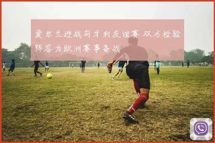 爱尔兰迎战匈牙利友谊赛 双方检验阵容为欧洲赛事备战