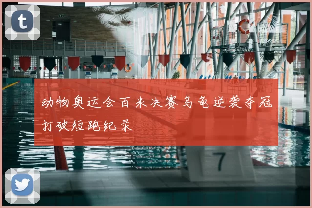 动物奥运会百米决赛乌龟逆袭夺冠打破短跑纪录