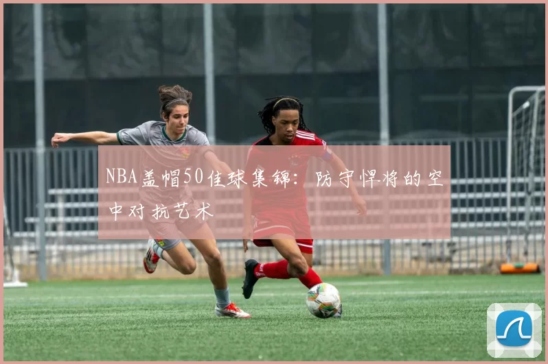 NBA盖帽50佳球集锦:防守悍将的空中对抗艺术