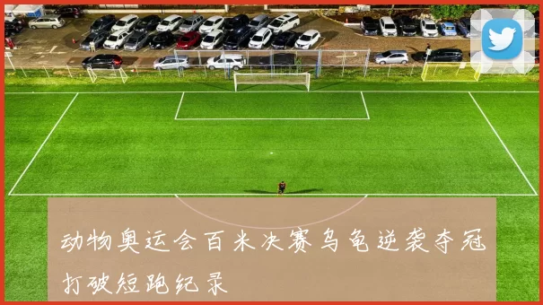 动物奥运会百米决赛乌龟逆袭夺冠打破短跑纪录